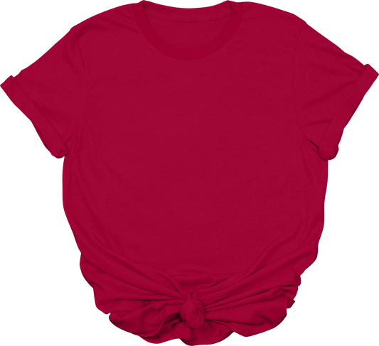 Adult Blank T-Shirt: Gildan Soft Style