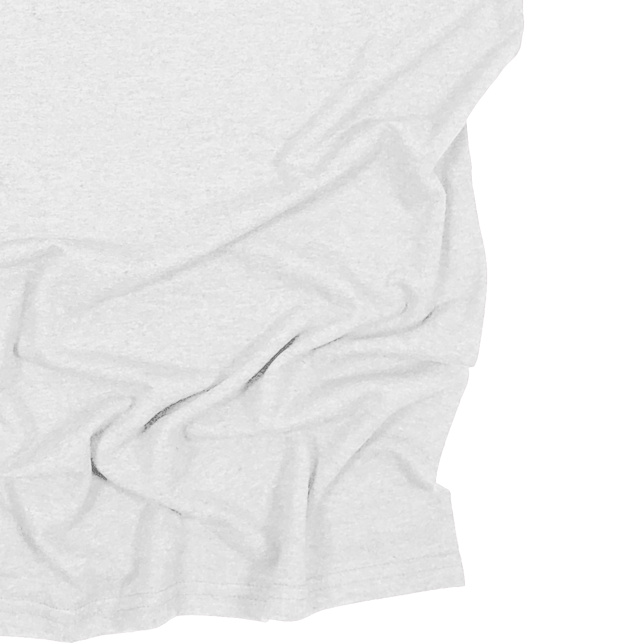 Adult Blank Long Sleeves