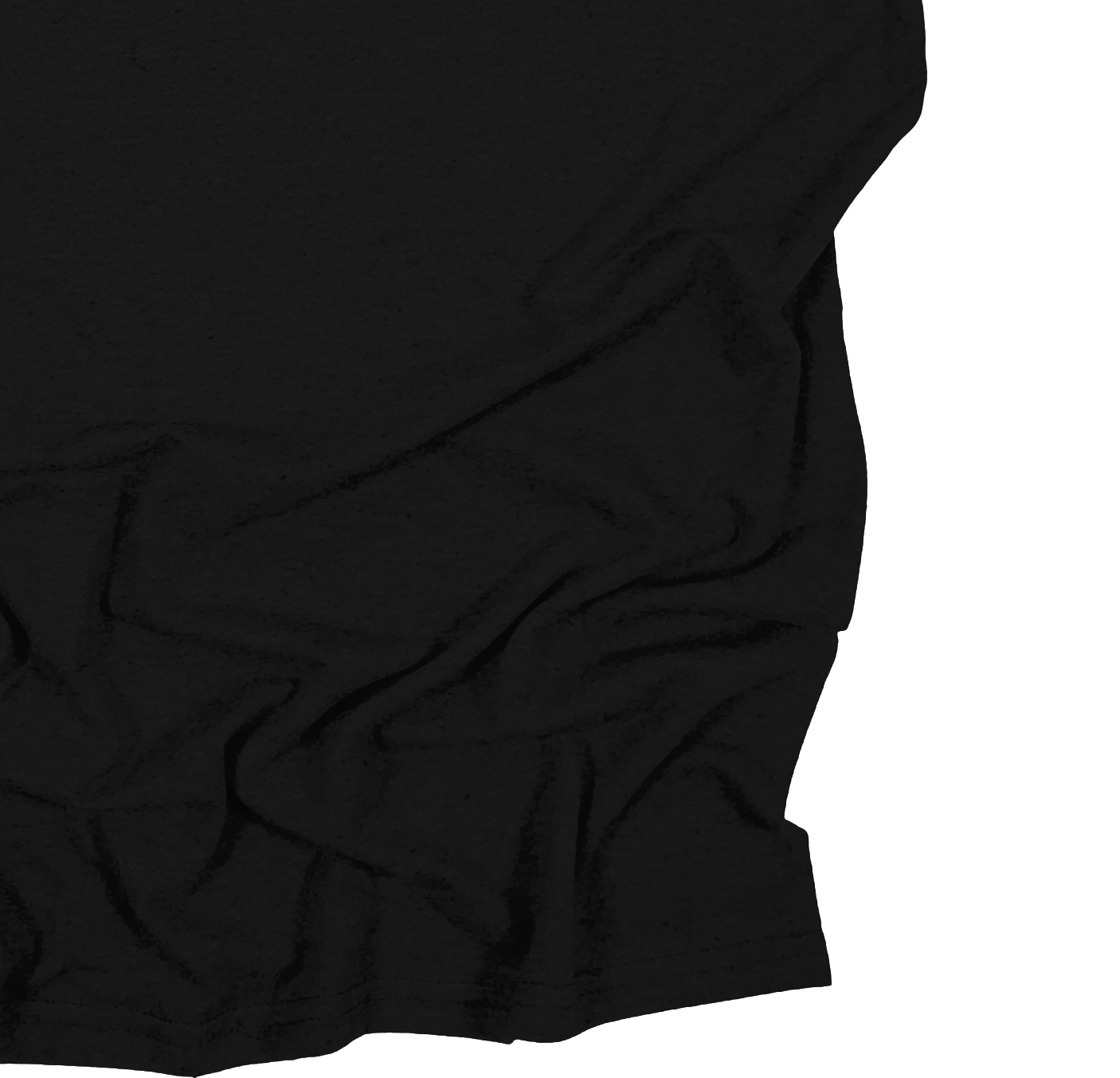Adult Blank Long Sleeves