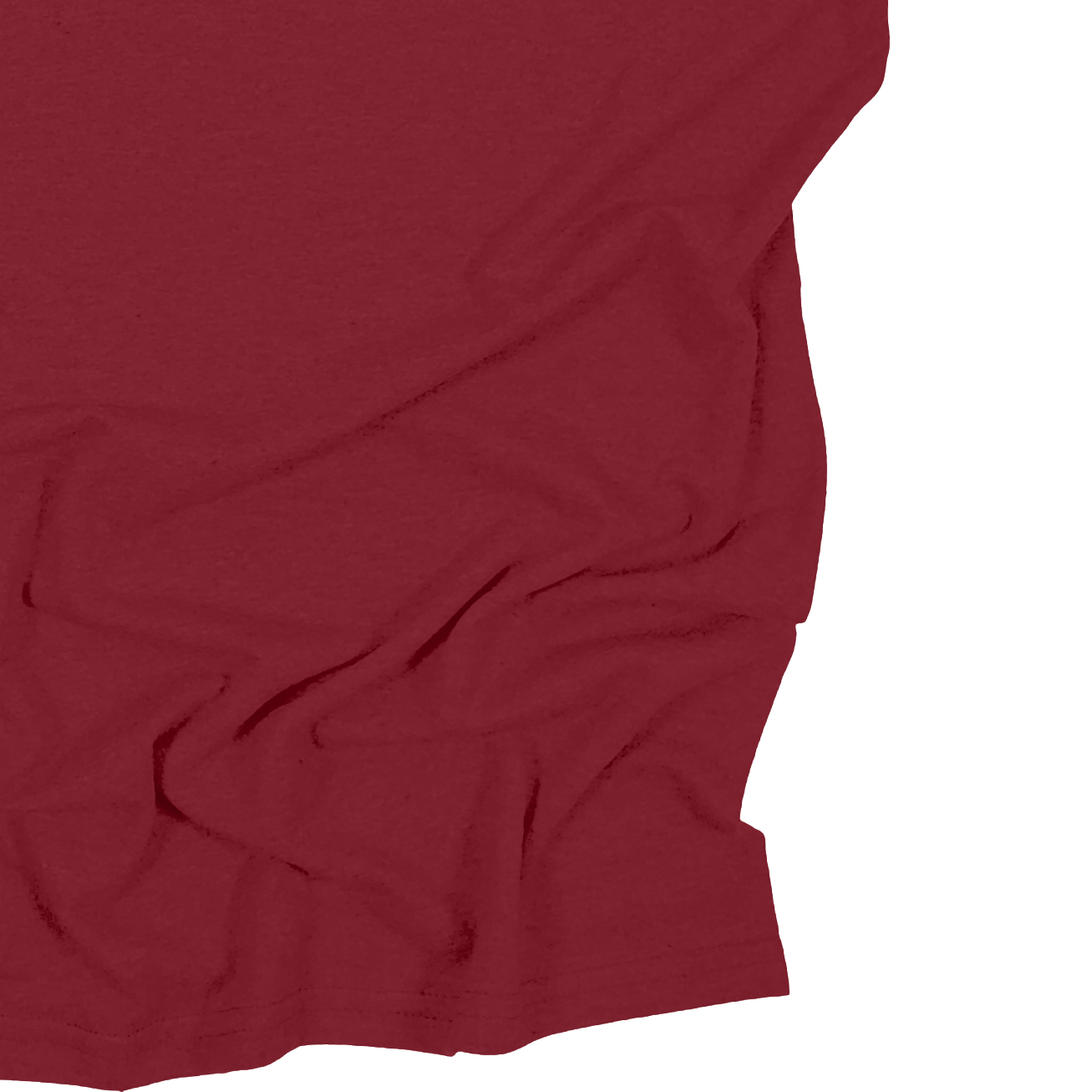 Adult Blank Long Sleeves