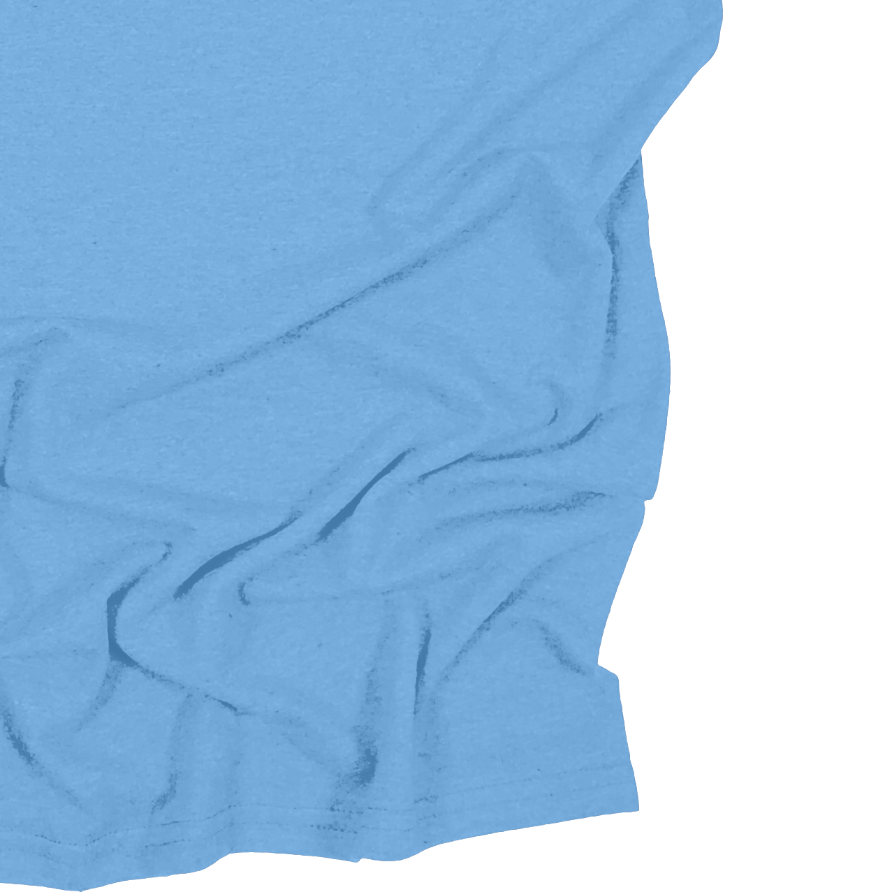 Adult Blank Long Sleeves