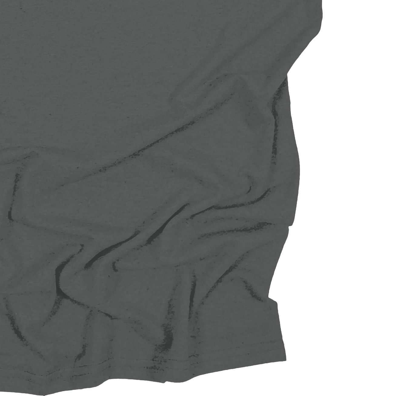 Adult Blank Long Sleeves
