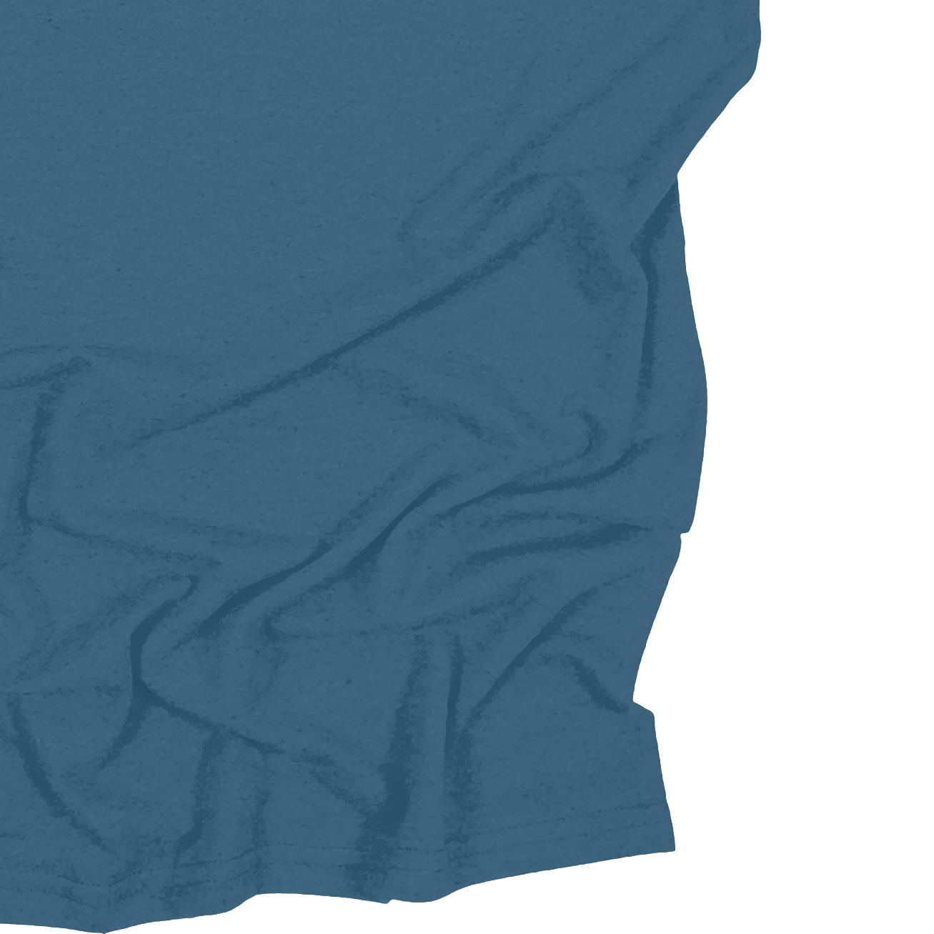 Adult Blank Long Sleeves