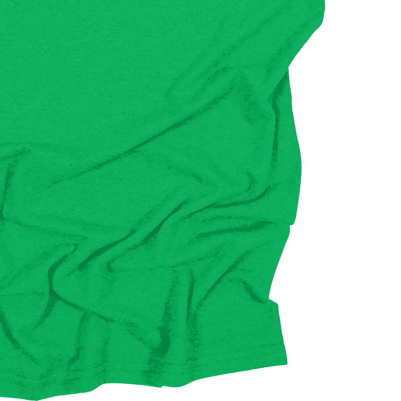 Adult Blank Long Sleeves