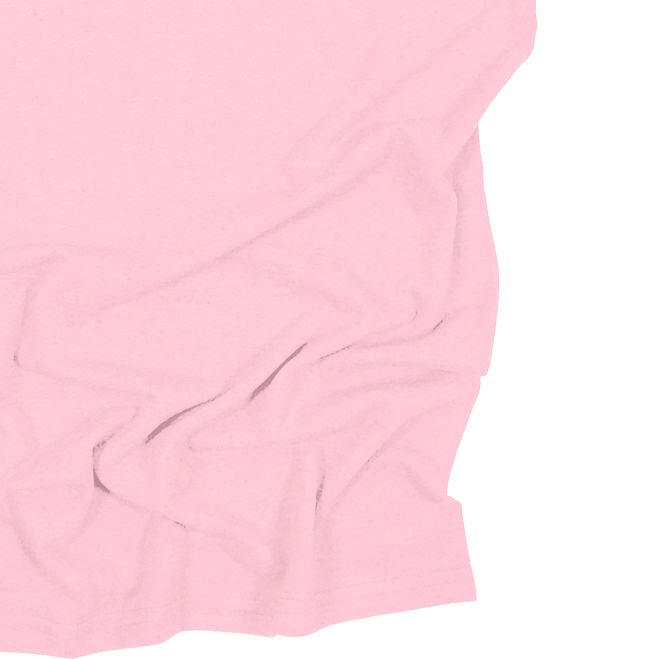 Adult Blank Long Sleeves