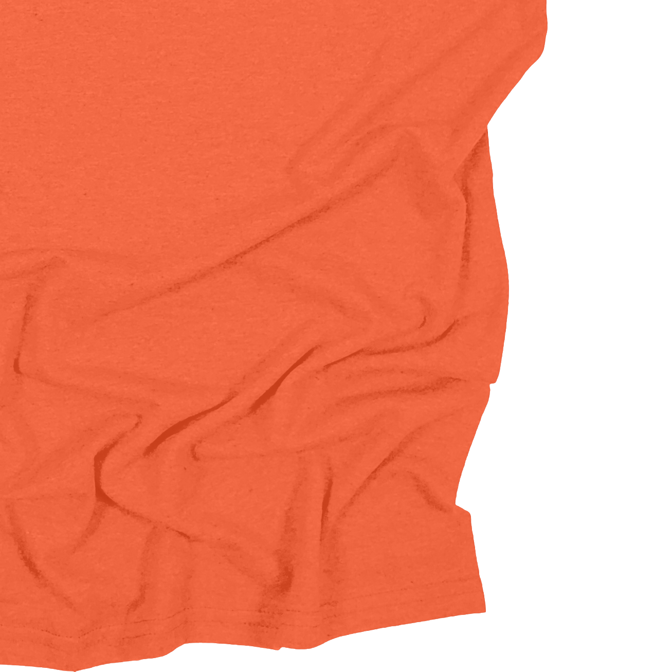 Adult Blank Long Sleeves