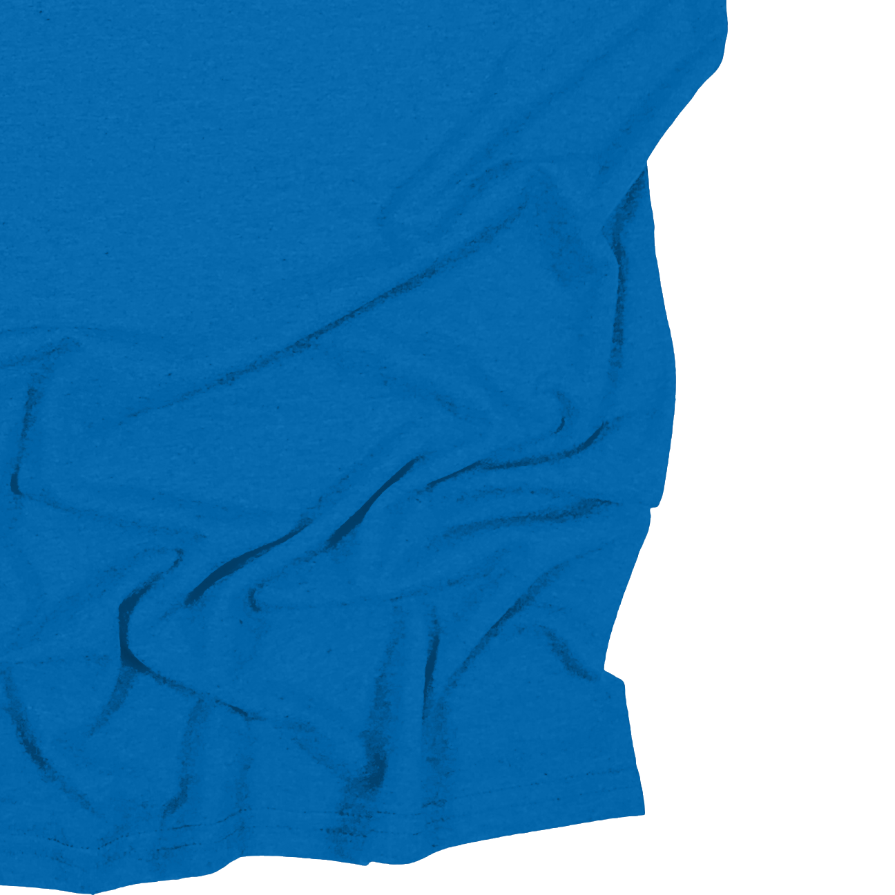 Adult Blank Long Sleeves