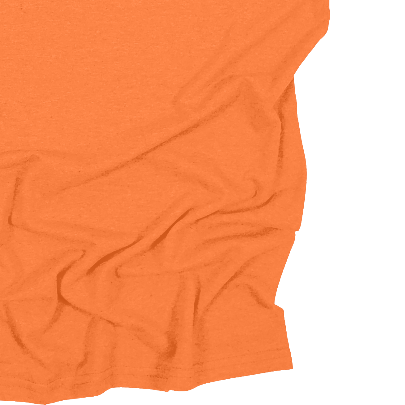 Adult Blank Long Sleeves