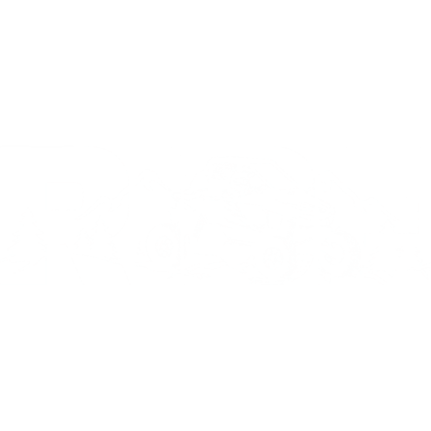 TSR SXS Ride Decal