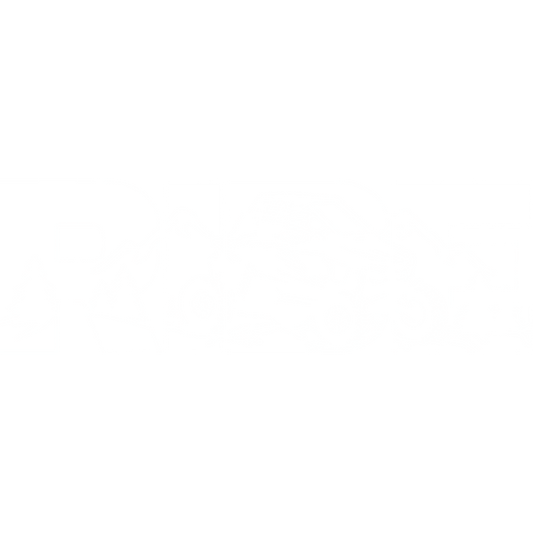 TSR SXS Ride Decal