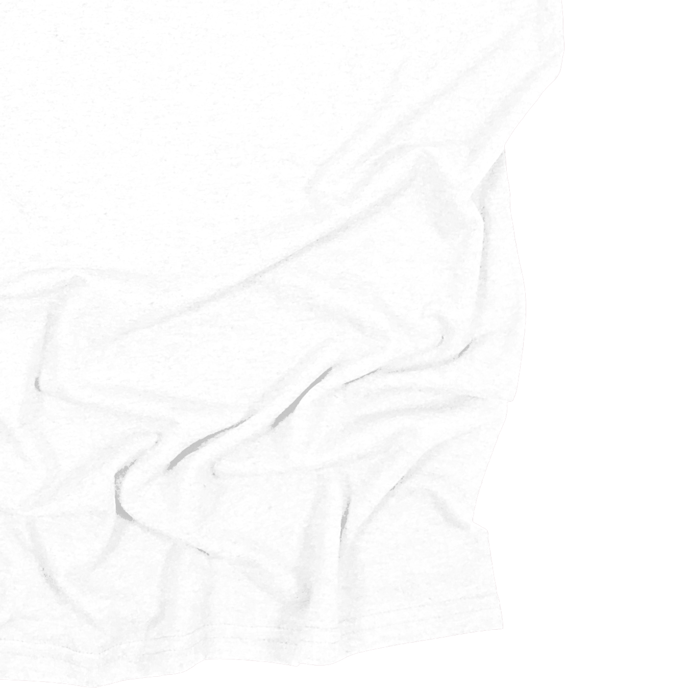 Adult Blank Long Sleeves