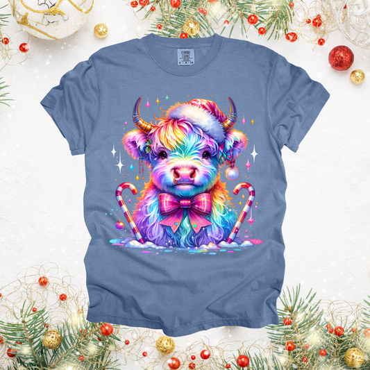 Colorful Santa Highland Design