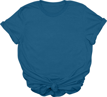 Adult Blank T-Shirt: Gildan Soft Style