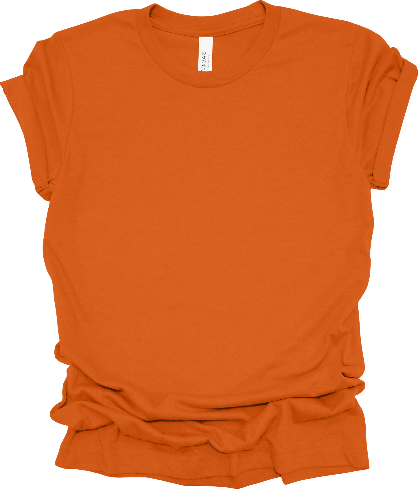 Adult Blank T-Shirt: Bella Canvas Jersey