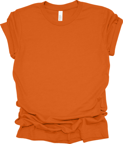 Adult Blank T-Shirt: Bella Canvas Jersey