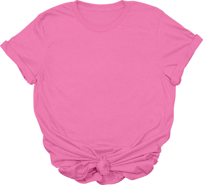 Adult Blank T-Shirt: Gildan Soft Style