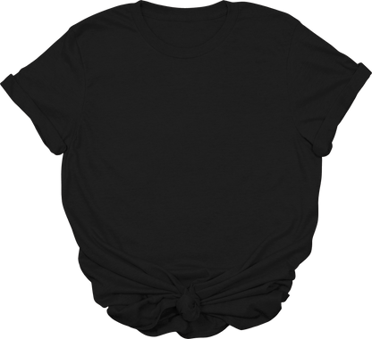 Adult Blank T-Shirt: Gildan Soft Style