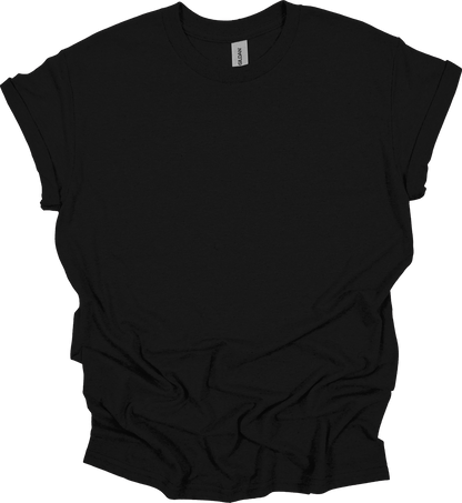 Adult Blank T-Shirt: Gildan Heavy Cotton