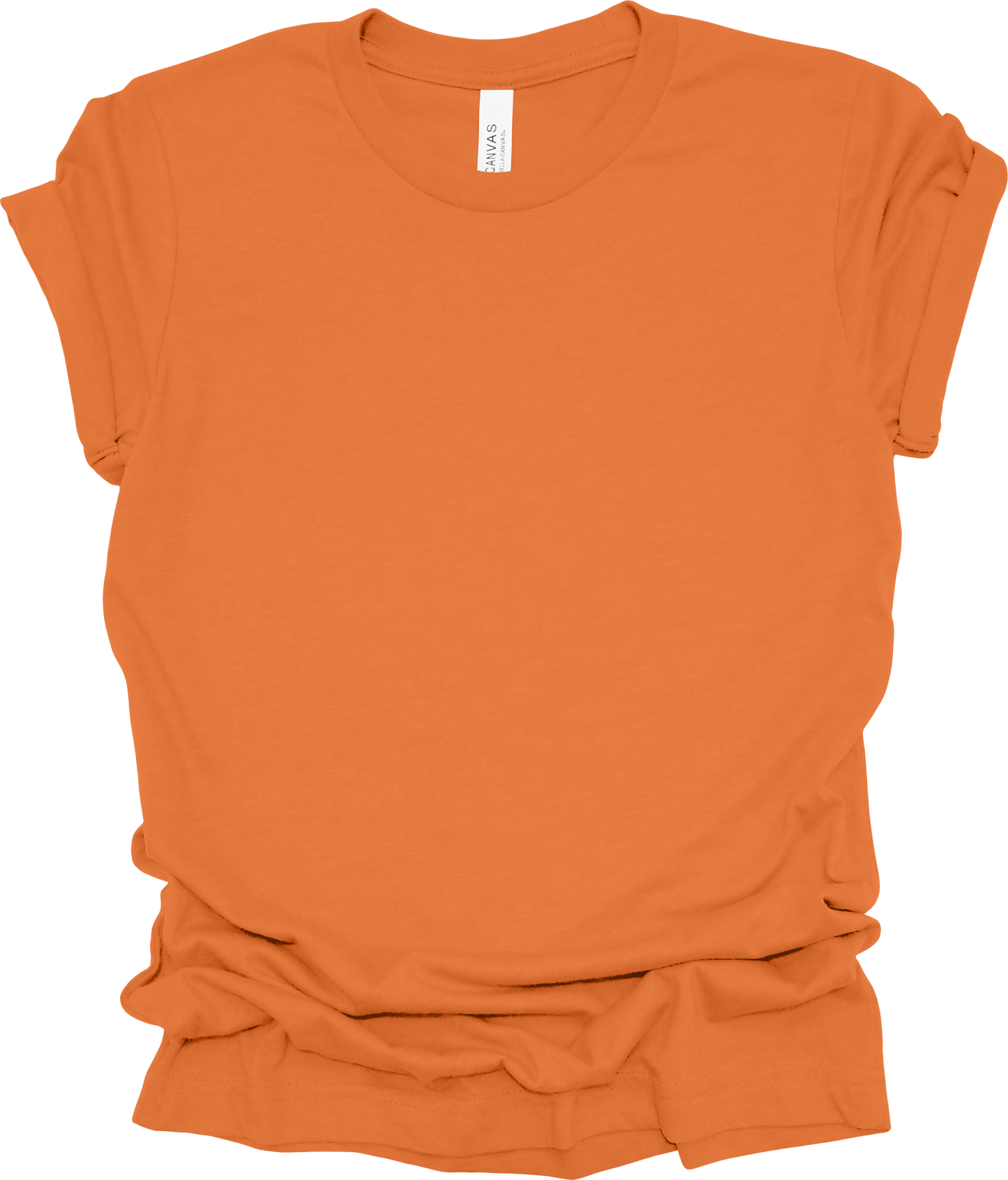 Adult Blank T-Shirt: Bella Canvas Jersey
