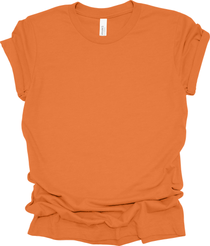 Adult Blank T-Shirt: Bella Canvas Jersey