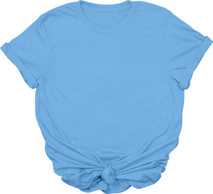 Adult Blank T-Shirt: Gildan Soft Style