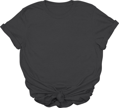 Adult Blank T-Shirt: Gildan Soft Style