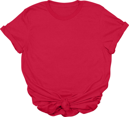 Adult Blank T-Shirt: Gildan Soft Style