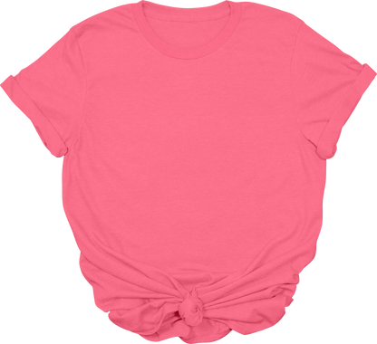 Adult Blank T-Shirt: Gildan Soft Style