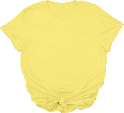 Adult Blank T-Shirt: Gildan Soft Style