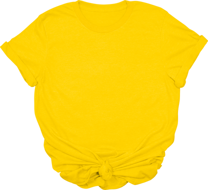 Adult Blank T-Shirt: Gildan Soft Style