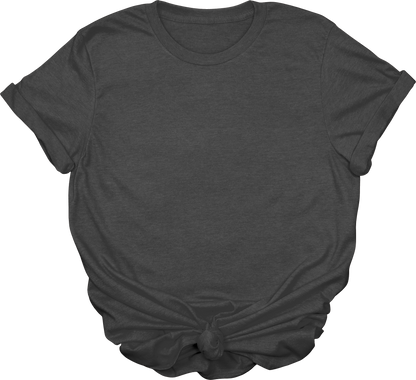 Adult Blank T-Shirt: Gildan Soft Style