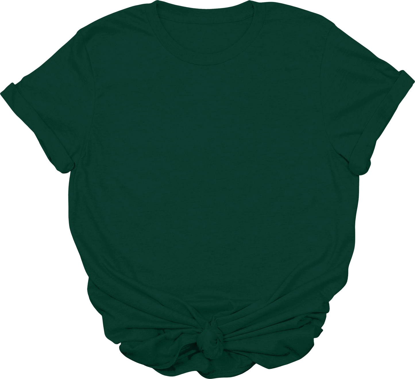 Adult Blank T-Shirt: Gildan Soft Style