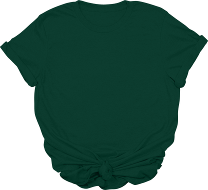 Adult Blank T-Shirt: Gildan Soft Style