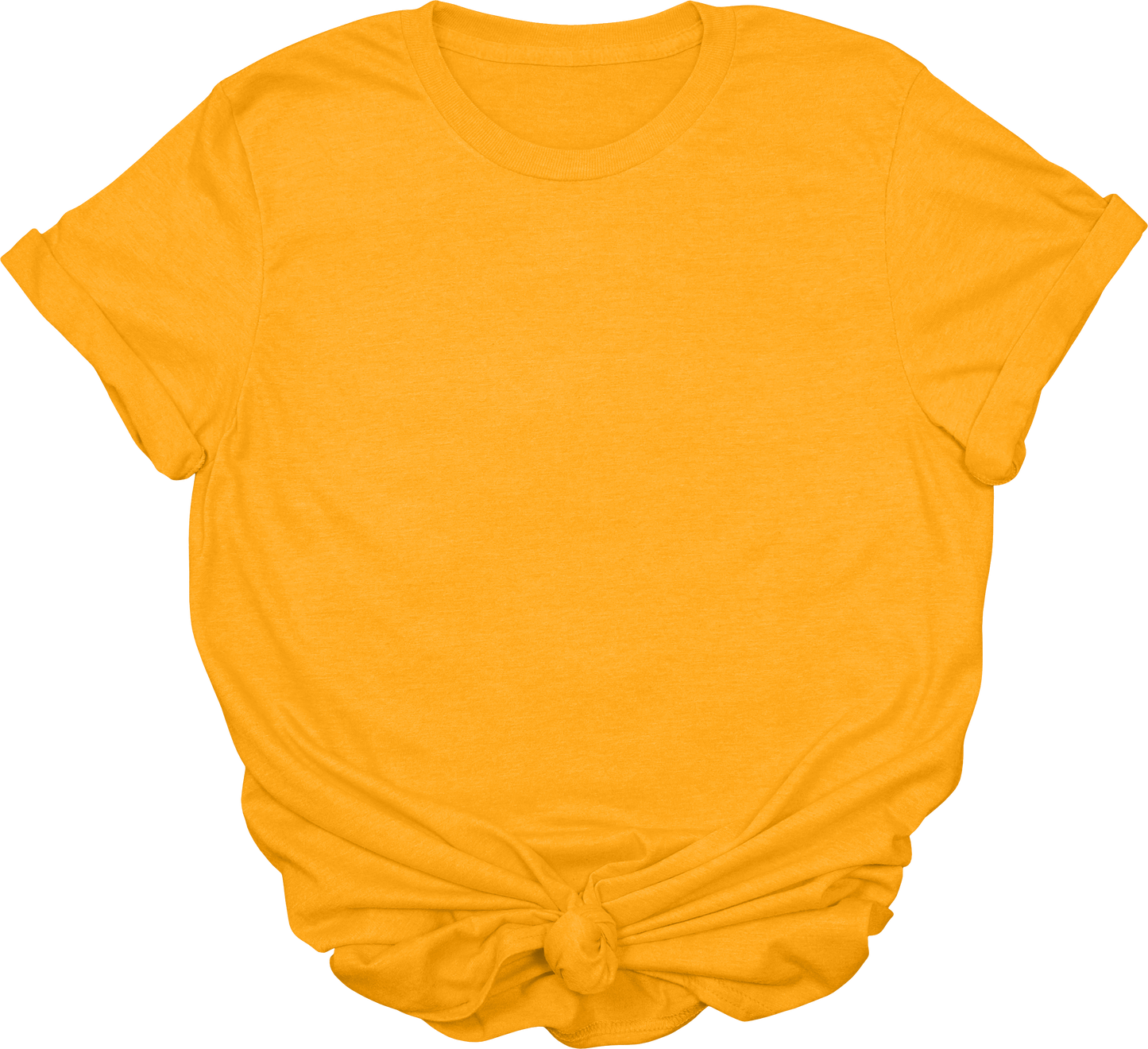 Adult Blank T-Shirt: Gildan Soft Style
