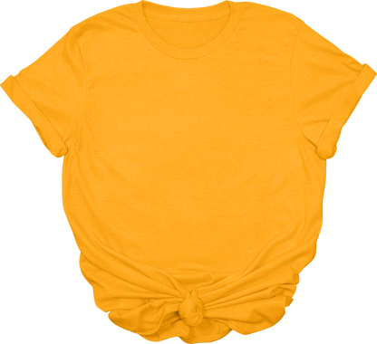 Adult Blank T-Shirt: Gildan Soft Style
