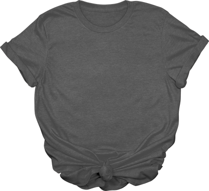 Adult Blank T-Shirt: Gildan Soft Style