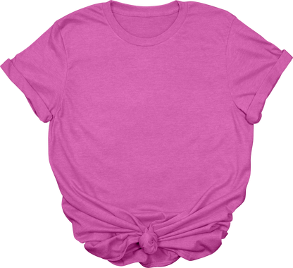 Adult Blank T-Shirt: Gildan Soft Style