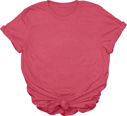 Adult Blank T-Shirt: Gildan Soft Style