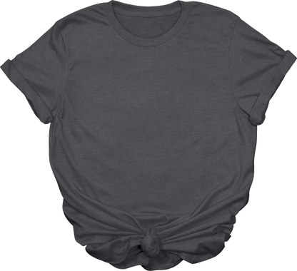 Adult Blank T-Shirt: Gildan Soft Style
