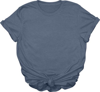 Adult Blank T-Shirt: Gildan Soft Style