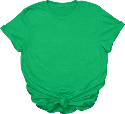 Adult Blank T-Shirt: Gildan Soft Style