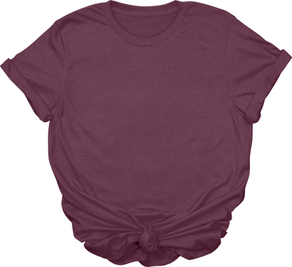 Adult Blank T-Shirt: Gildan Soft Style