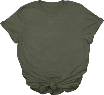 Adult Blank T-Shirt: Gildan Soft Style