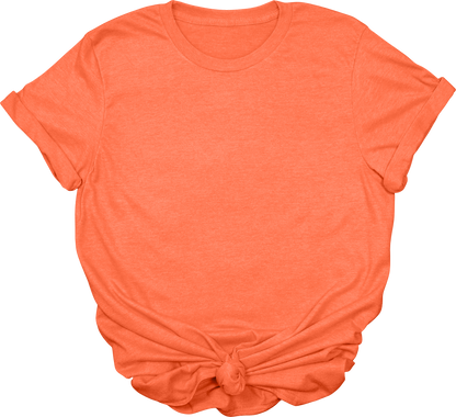 Adult Blank T-Shirt: Gildan Soft Style