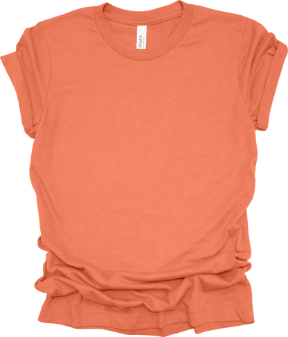 Adult Blank T-Shirt: Bella Canvas CVC Mid Weight Heathers