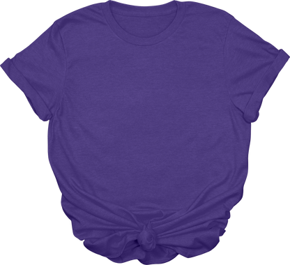 Adult Blank T-Shirt: Gildan Soft Style
