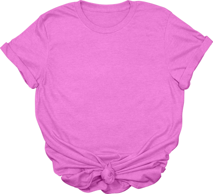 Adult Blank T-Shirt: Gildan Soft Style
