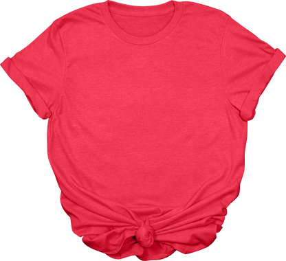 Adult Blank T-Shirt: Gildan Soft Style