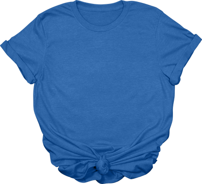 Adult Blank T-Shirt: Gildan Soft Style