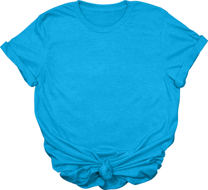 Adult Blank T-Shirt: Gildan Soft Style